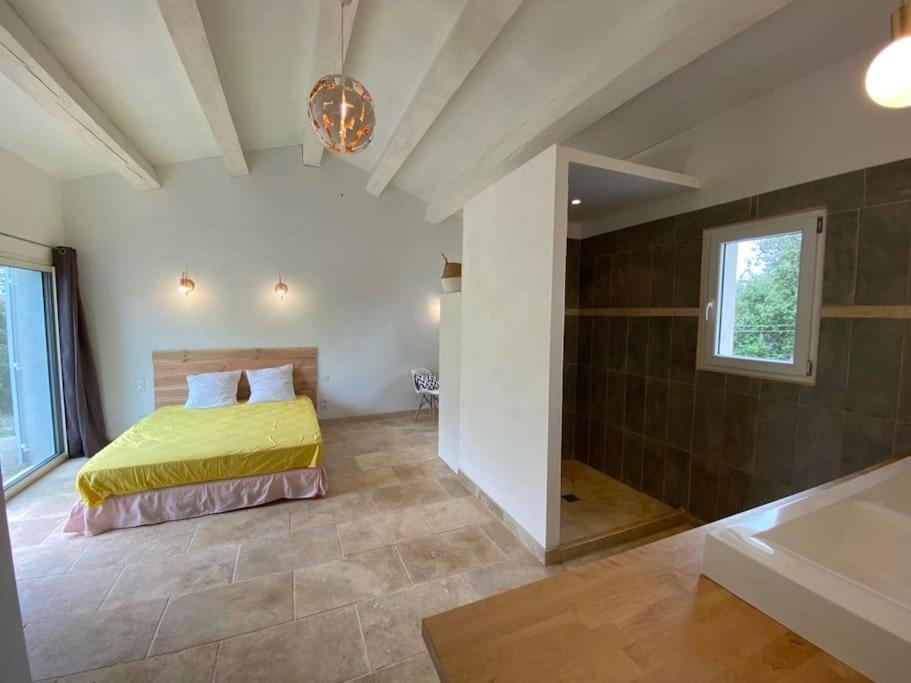Villa Piscine - Gorges Du Verdon, Lac De Sainte-Croix Регюс Экстерьер фото