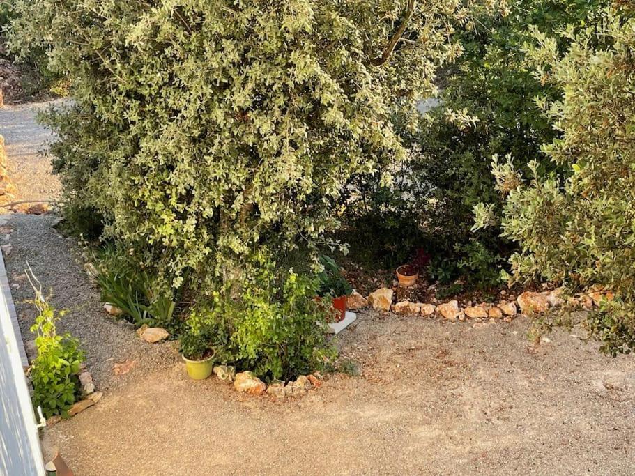 Villa Piscine - Gorges Du Verdon, Lac De Sainte-Croix Регюс Экстерьер фото